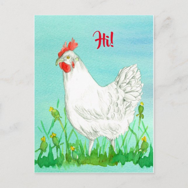 White Leghorn Chicken Bird Hi Postcard (Front)