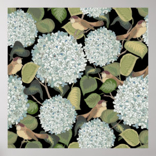 White, light blue Hortensia with green leaves and Poster