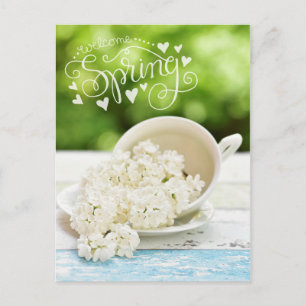 White Lilacs Spring flowers Stilllife Floral Text Postcard