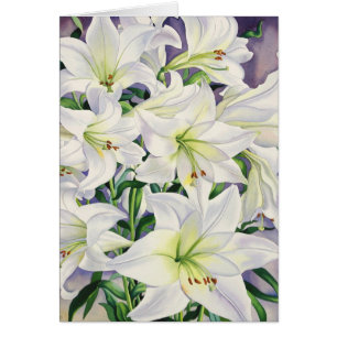 White Lilies 2008