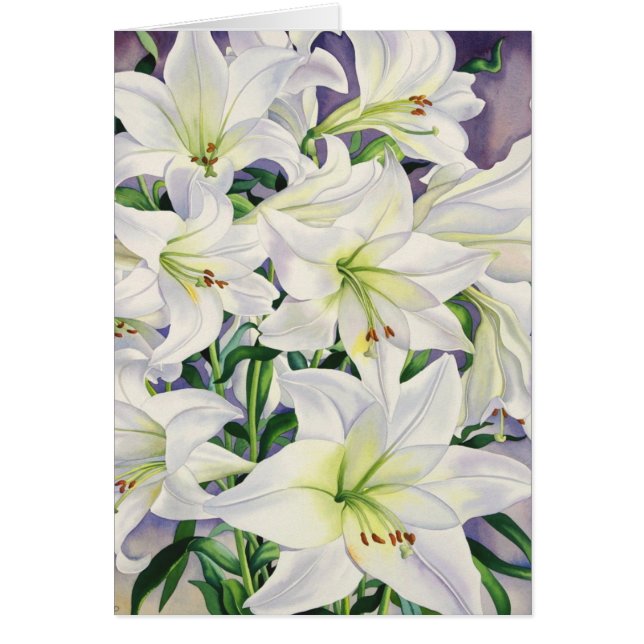 White Lilies 2008 (Front)