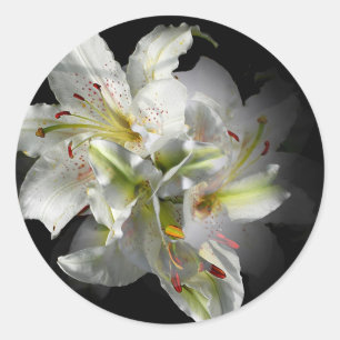 White Lilies Fantasy Classic Round Sticker
