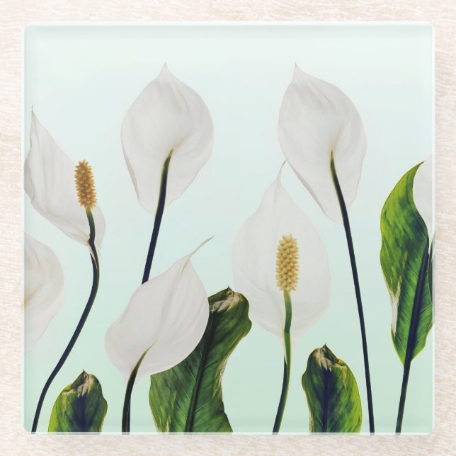 White Lilies Flowers Blue Seamless Glass Coaster (Front)