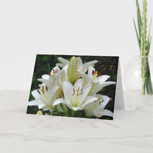 White Lilies Greeting Card