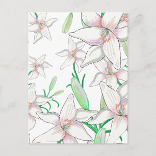 White Lilies Illustration Postcard