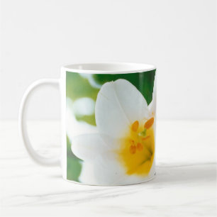 White Lilies - Lily Flower Lilium candidum  Coffee Mug