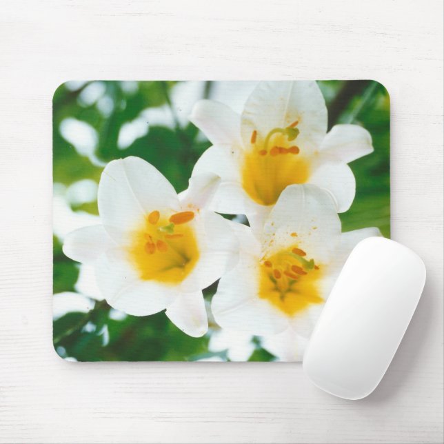 White Lilies - Lily Flower Lilium candidum  Mouse Pad (With Mouse)