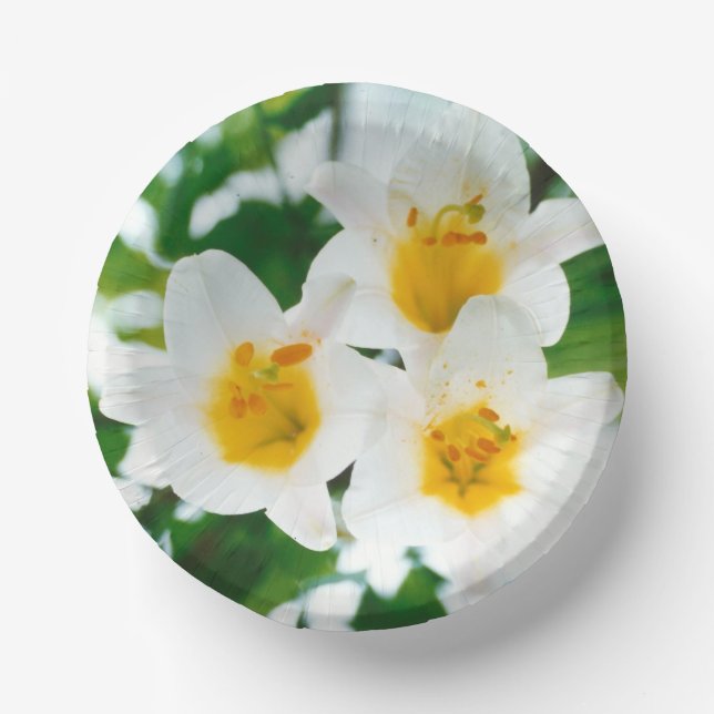 White Lilies - Lily Flower Lilium candidum  Paper Plate (Front)