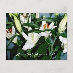 white lilies postcard