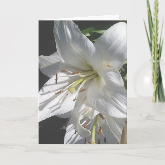 White Lillies Card (Front)