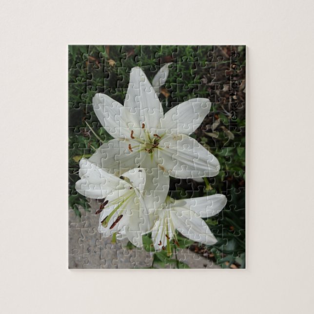 White Lilly Jigsaw Puzzle (Vertical)
