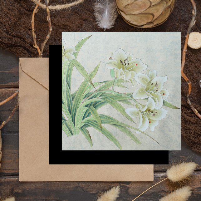 White Lily (Creator Uploaded)