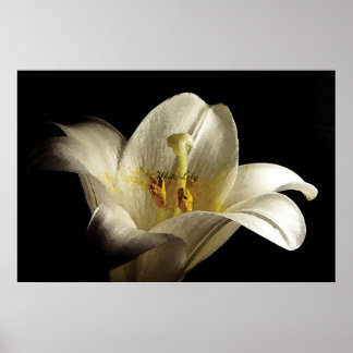 White Lily 2 Poster