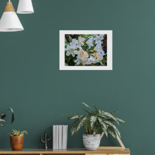 White Lily Blooms Floral Photographic Poster