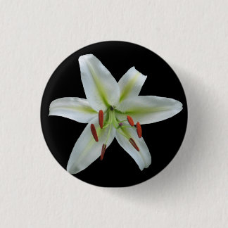 White Lily Button