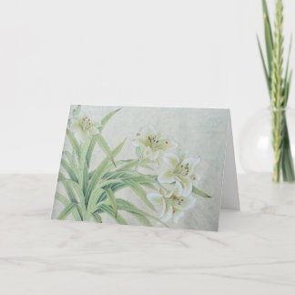 White Lily Card