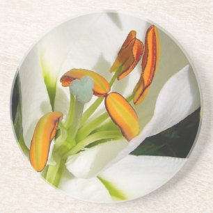 White Lily Coaster