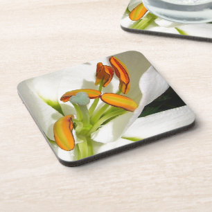 White Lily Coaster