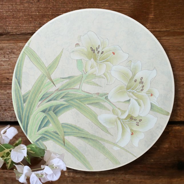 White Lily Coaster (Creator Uploaded)