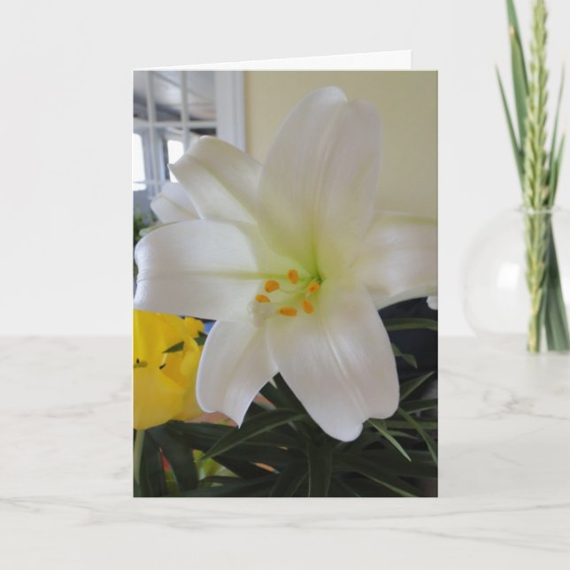 White Lily Easter Holiday Card (Front)