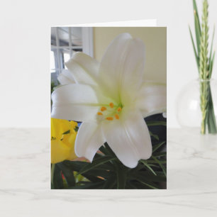White Lily Easter Holiday Card