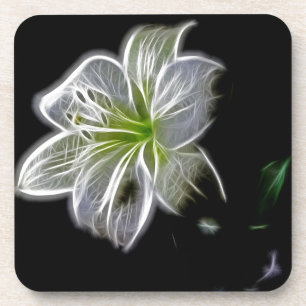 White lily flower nature beauty coaster