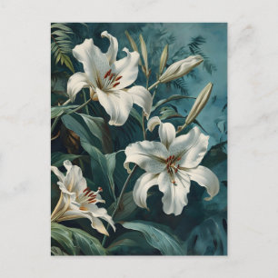 White Lily flower Vintage Postcard