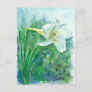 White Lily Flower Watercolor Painting Postcard