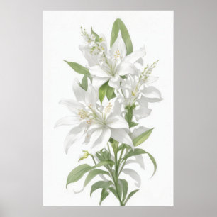 White Lily Flowers Poster