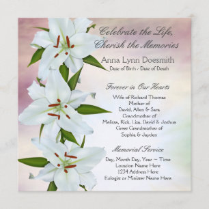 White Lily Funeral Announcements