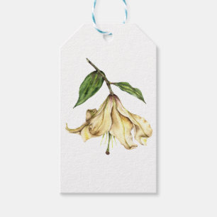 White Lily Gift Tags