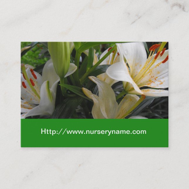 white lily nursery business card (Front)