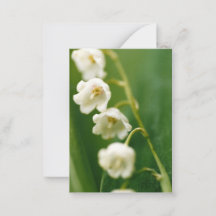 White Lily of the valley (Convallaria majalis) 