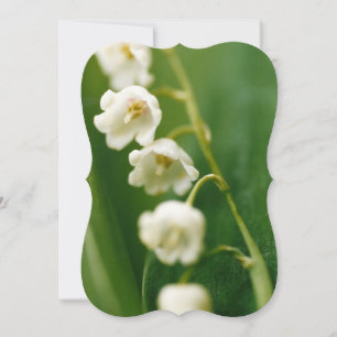 White Lily of the valley (Convallaria majalis) Card