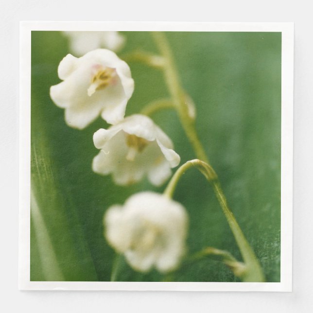 White Lily of the valley (Convallaria majalis)  Napkin (Front)
