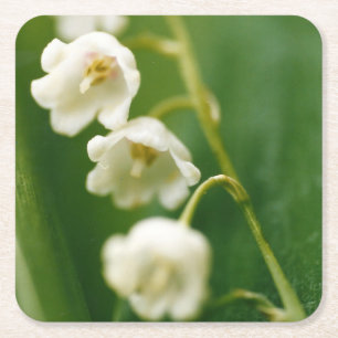 White Lily of the valley (Convallaria majalis) Square Paper Coaster