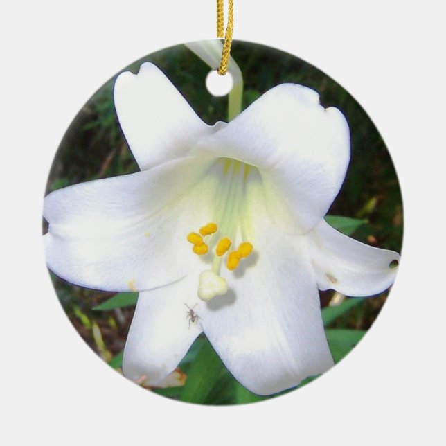 White Lily Ornament (Front)