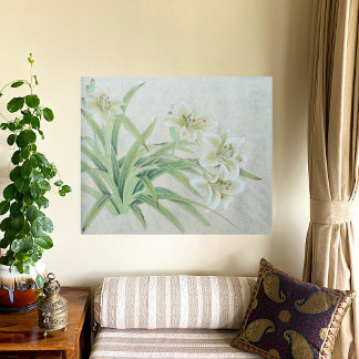 White Lily Photo Print