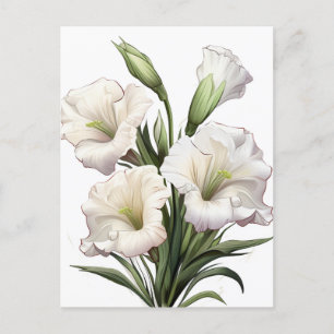 WHITE LILY POSTCARD
