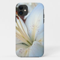 white lily pretty