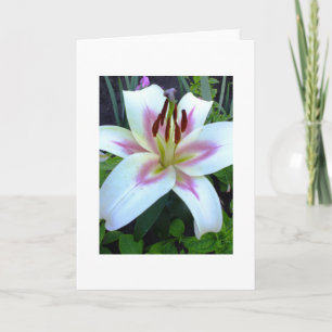 White Lily Royal Greeting Card Add Your Own Text