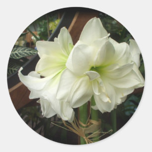 White lily stickers