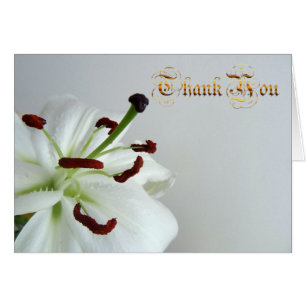 White lily. text.