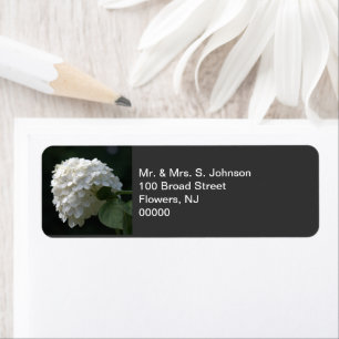 White Limelight Hydrangea Return Address Label