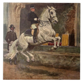 White Lipizzan Stallion Croupade Tile