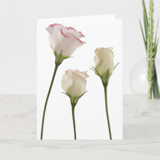 white lisianthus flowers, trio card