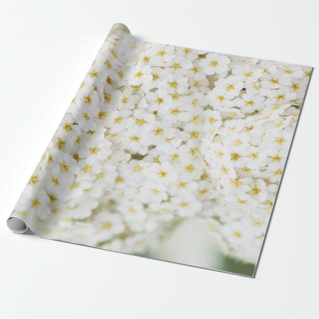White little flowers pattern wrapping paper (Unrolled)