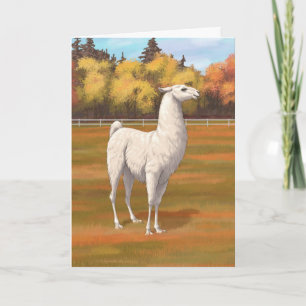 White Llama in Autumn Farm Pasture Card