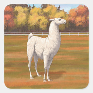 White Llama in Autumn Farm Pasture Square Sticker