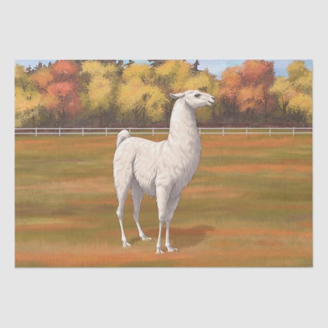 White Llama in Autumn Farm Pasture Tissue Paper (Front)